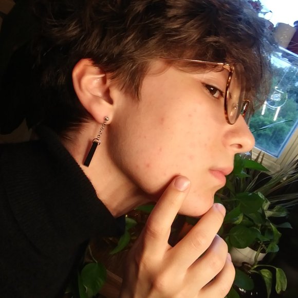 Hematite Prism Earrings - Picture 2 of 4